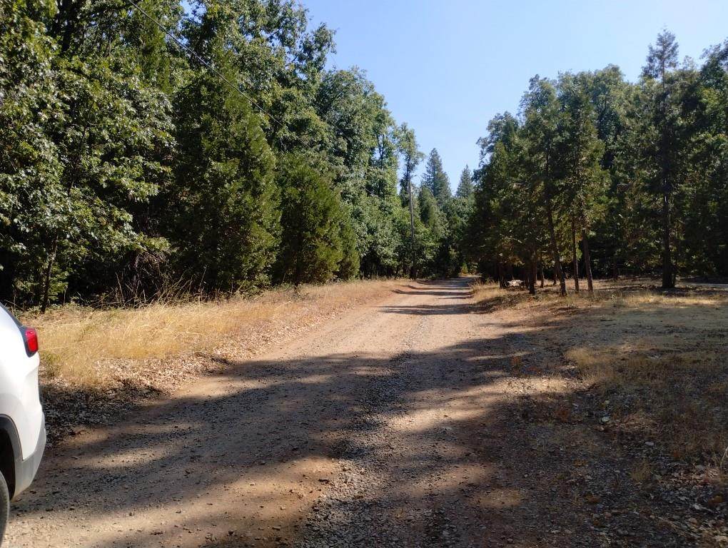 https://bt-photos.global.ssl.fastly.net/sacramento/orig_boomver_2_560918704-2.jpg
