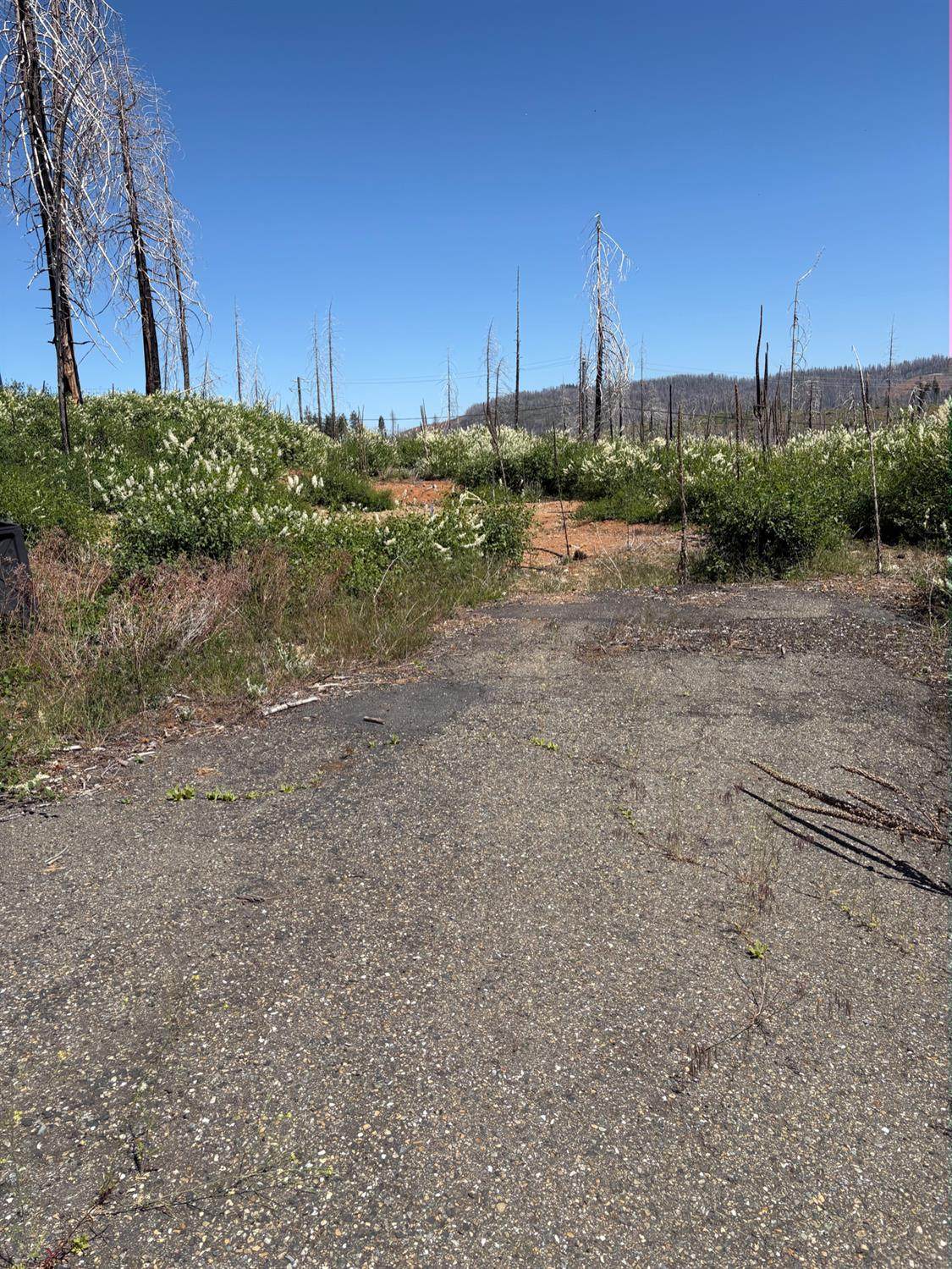 https://bt-photos.global.ssl.fastly.net/sacramento/orig_boomver_2_560932982-2.jpg