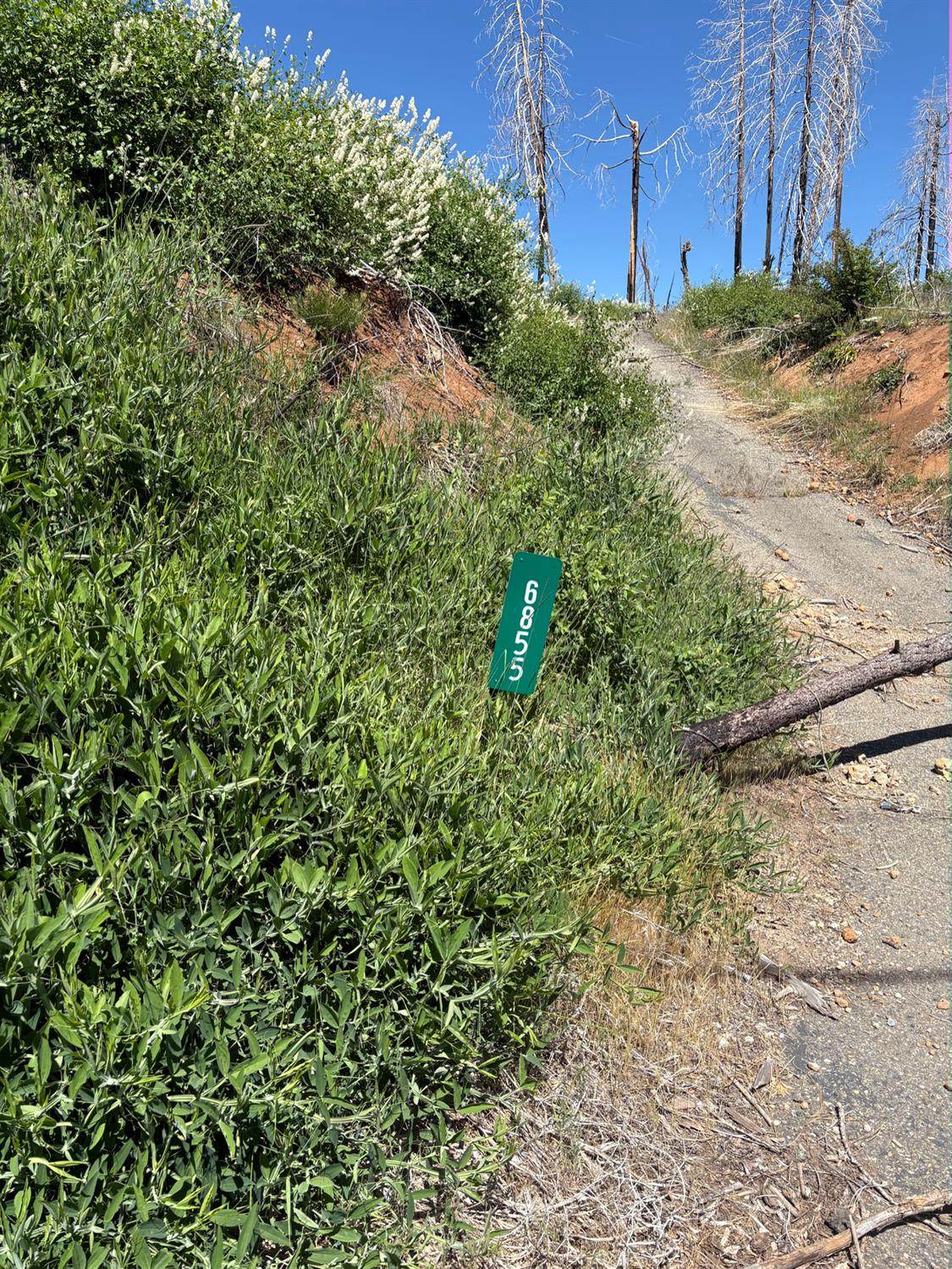 https://bt-photos.global.ssl.fastly.net/sacramento/orig_boomver_2_560932982-2.jpg