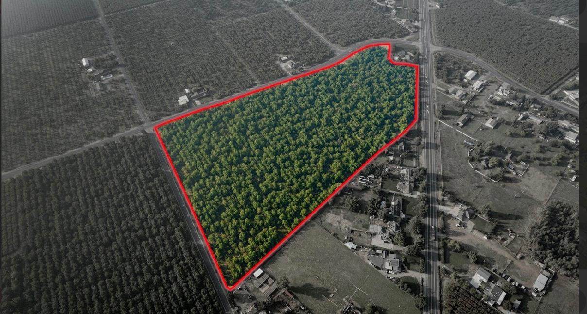 10221 Baker Road - Photo 1