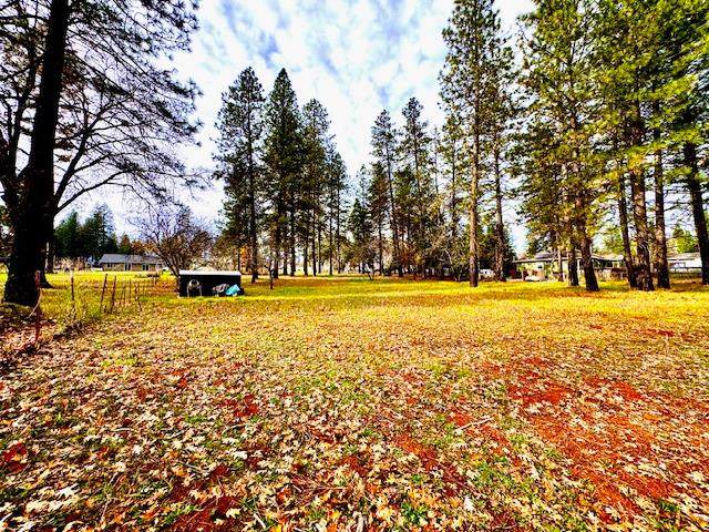 7184 Clark Road - Photo 1