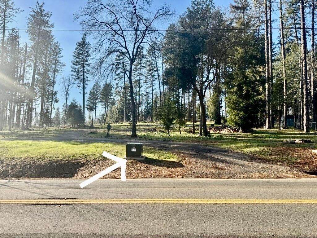 7125 Clark Road - Photo 1