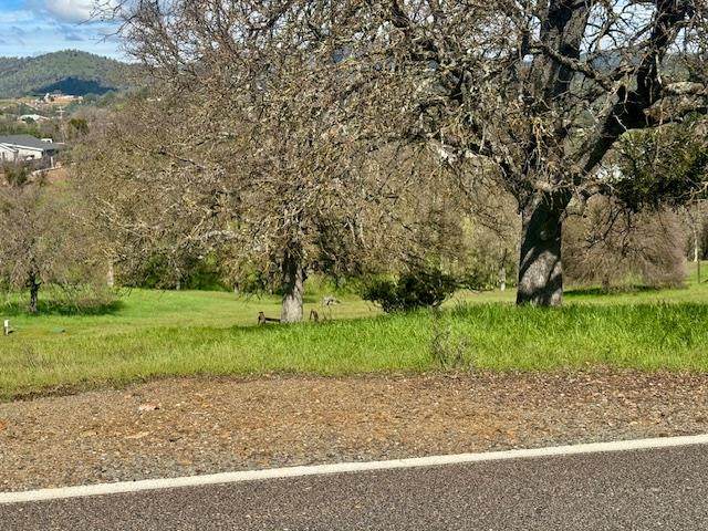 https://bt-photos.global.ssl.fastly.net/sacramento/orig_boomver_2_561029970-2.jpg
