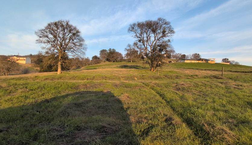 3669 Little John Road - Photo 1