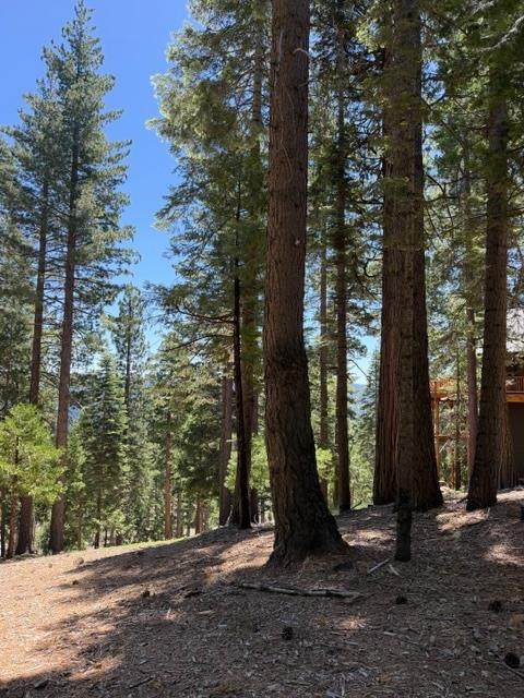 https://bt-photos.global.ssl.fastly.net/sacramento/orig_boomver_3_561030584-2.jpg