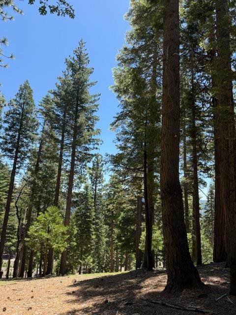 https://bt-photos.global.ssl.fastly.net/sacramento/orig_boomver_3_561030584-2.jpg