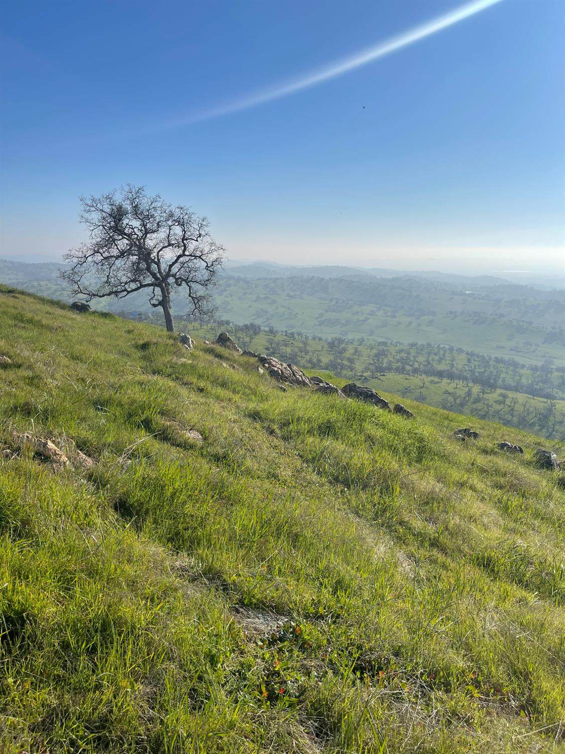 https://bt-photos.global.ssl.fastly.net/sacramento/1280_boomver_1_561032721-2.jpg