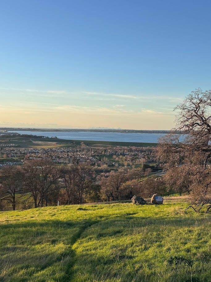 1032 Fire Clay Drive - Photo 1