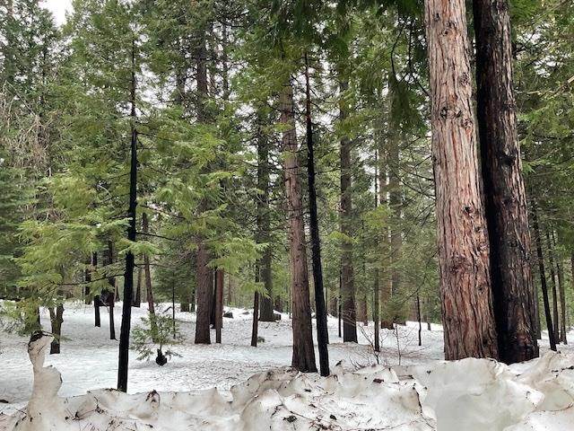 3065 Apache Road - Photo 1