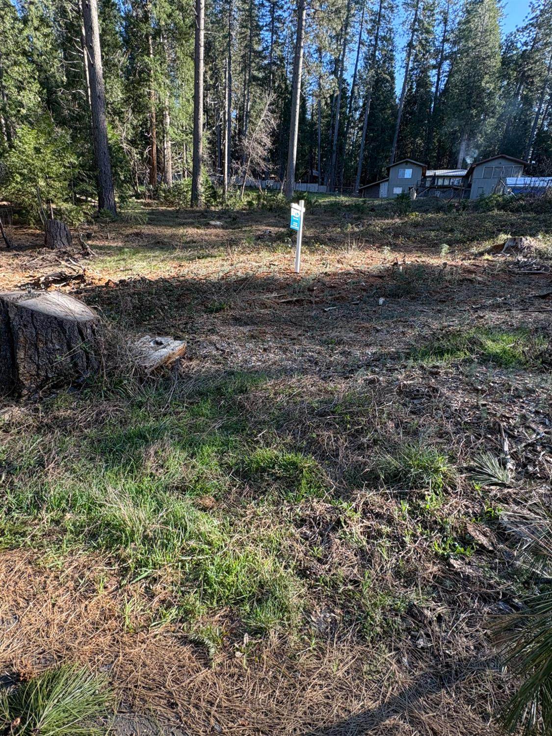 33312 Mattell Way - Photo 1