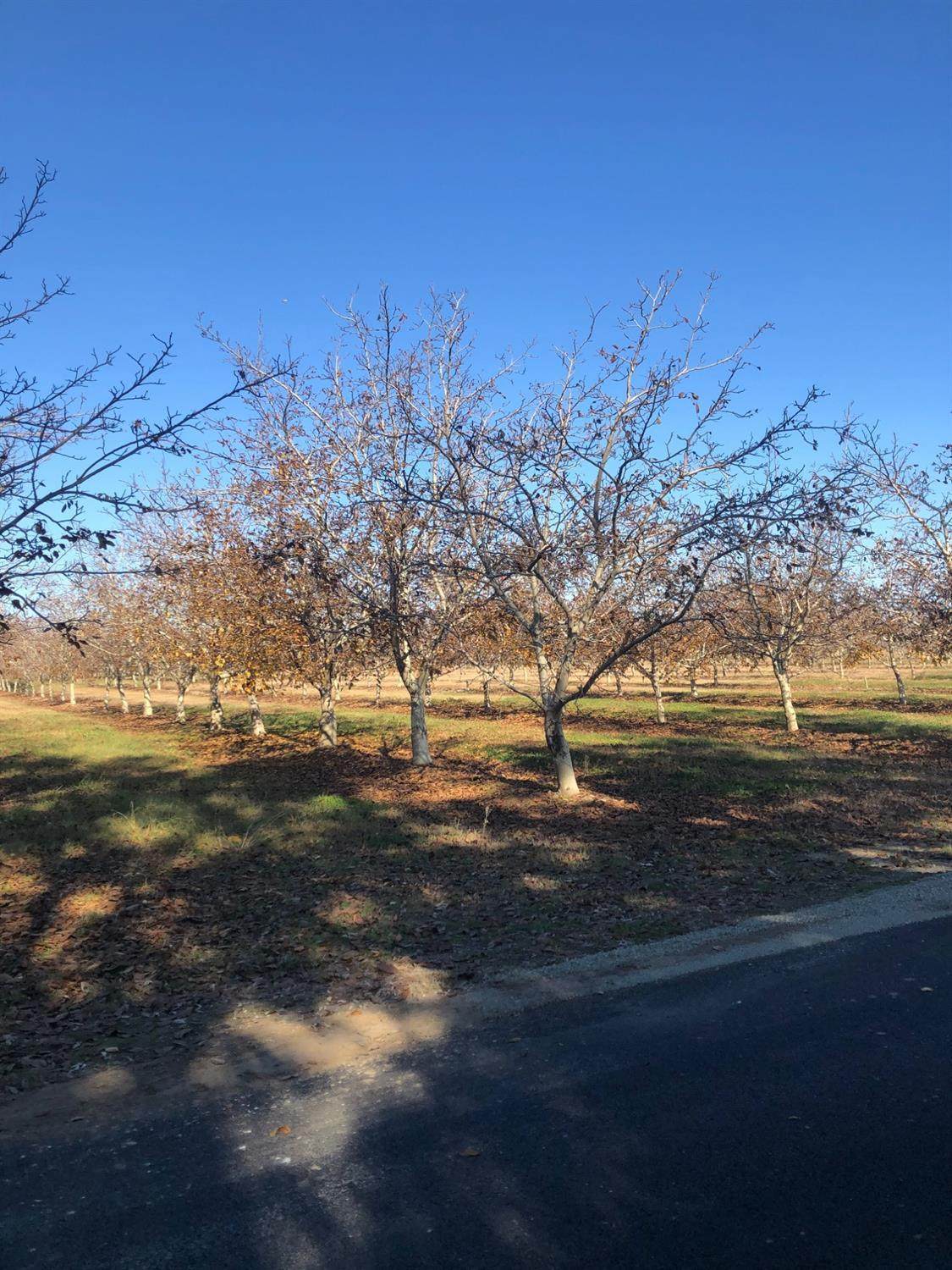 2365 Powell Road - Photo 1
