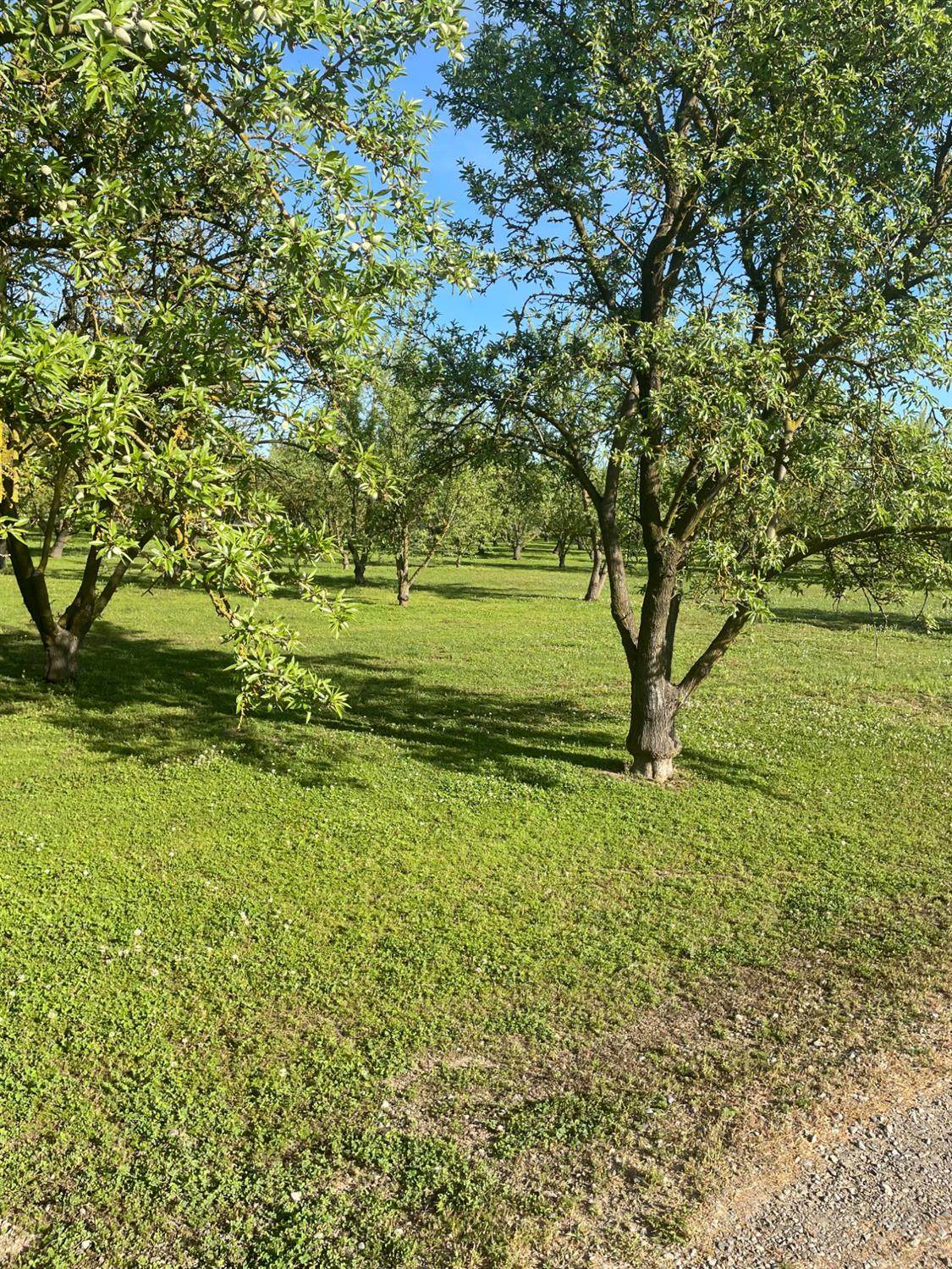 17576 State Highway 120 - Photo 1