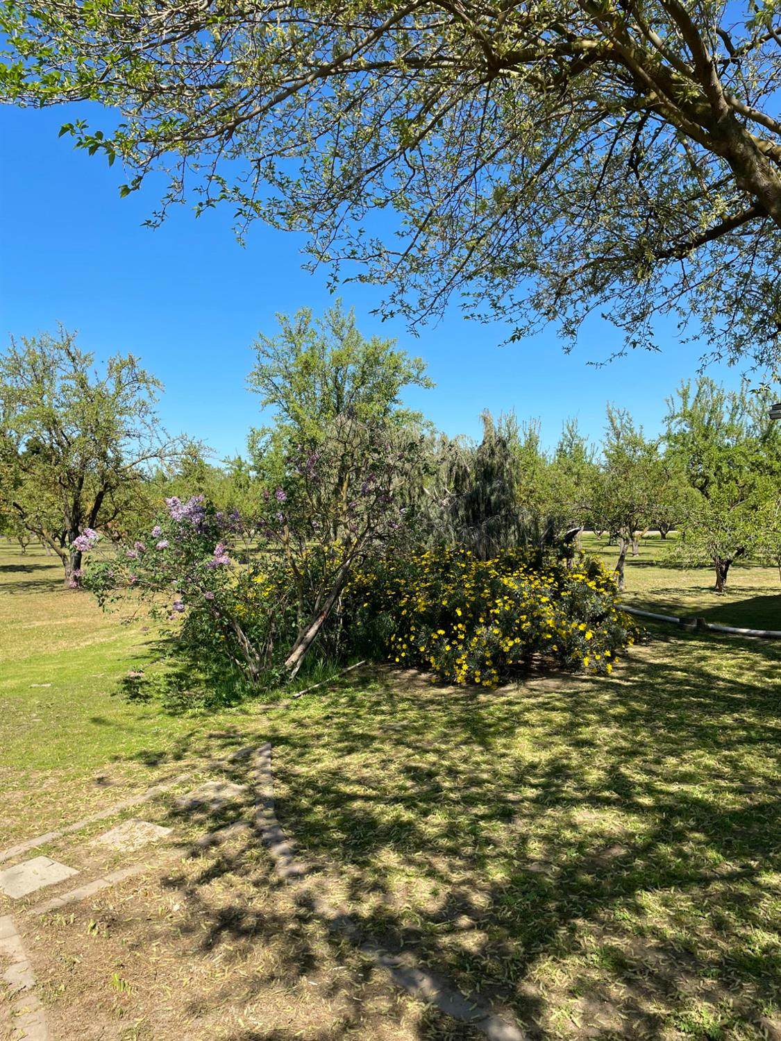 https://bt-photos.global.ssl.fastly.net/sacramento/orig_boomver_2_561061922-2.jpg