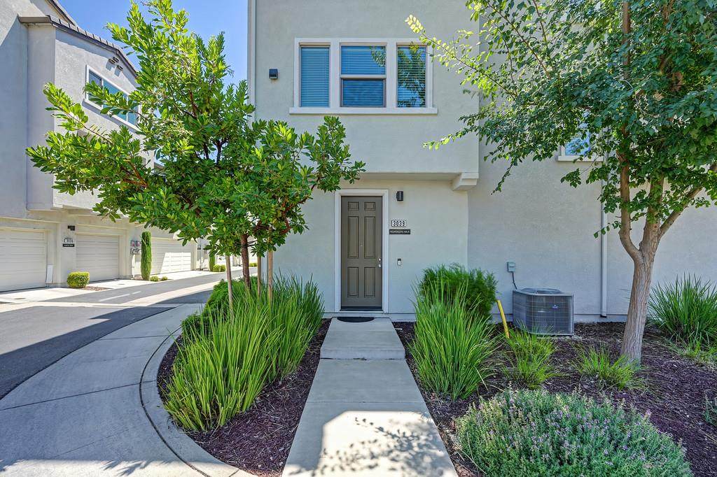 3039 Mesmerizing Walk - Photo 1
