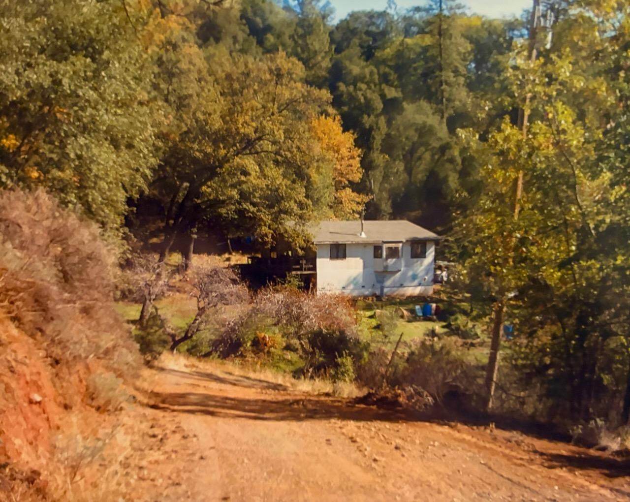 3558 Sheep Ranch Road - Photo 1