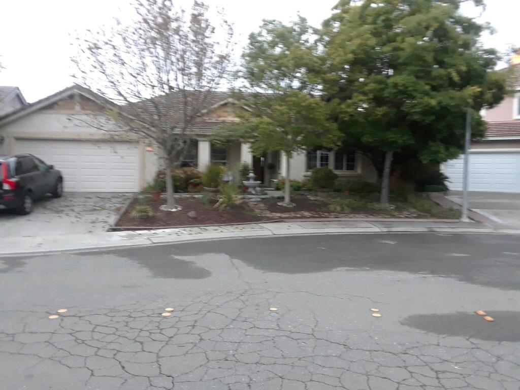 4689-4689 Windsong Street - Photo 1