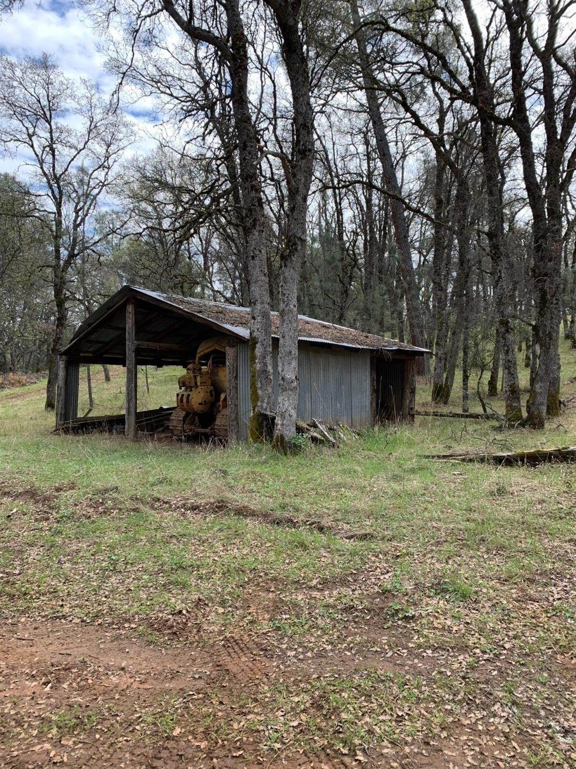 0 Cedar Pines - Photo 1