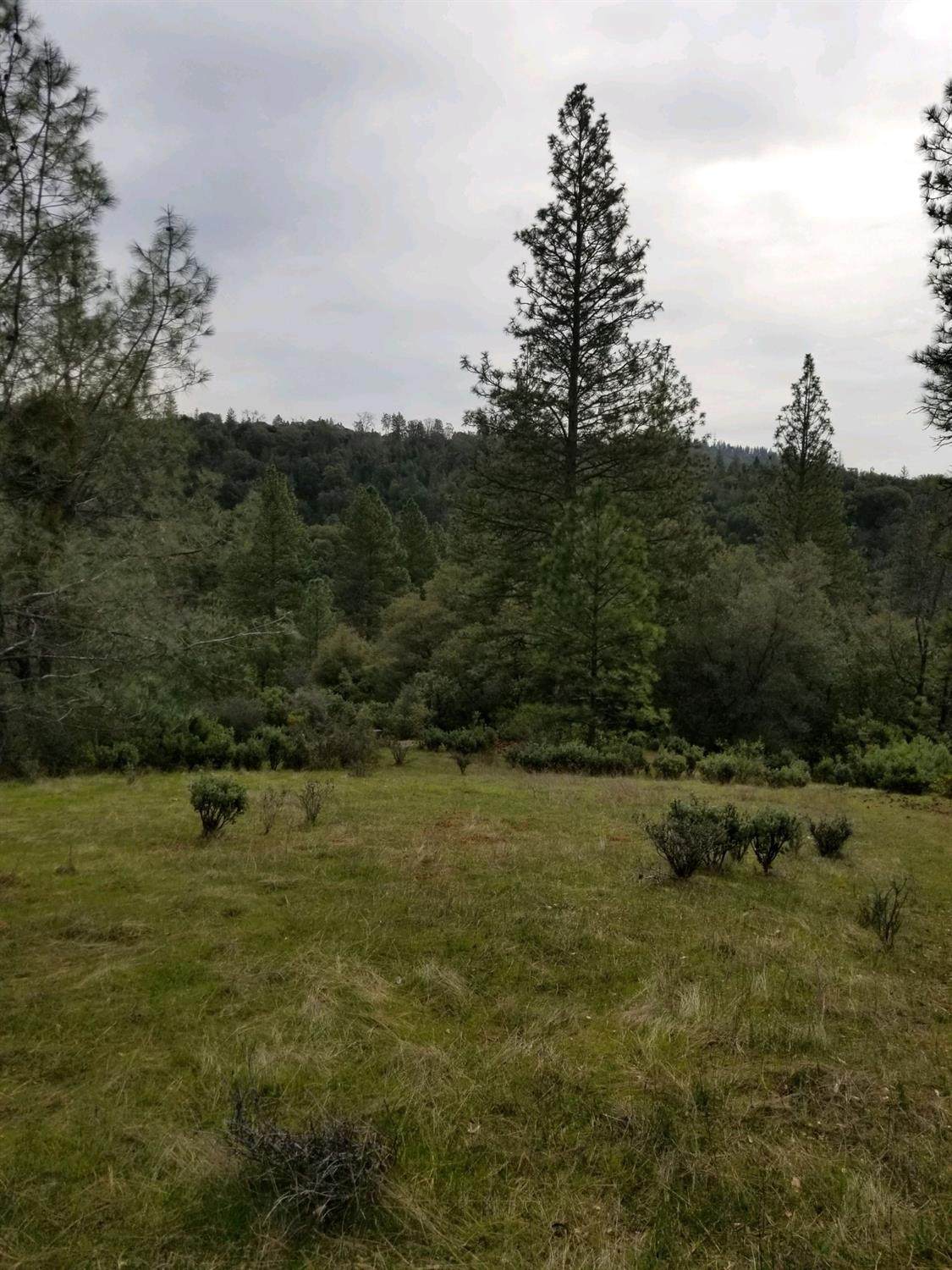 42 Petersen Ranch Drive - Photo 1