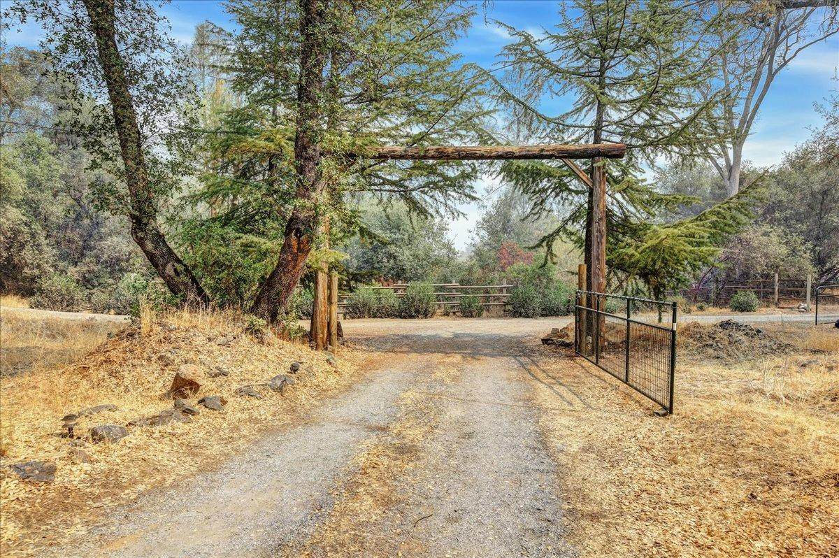 900 Plum Drive - Photo 1