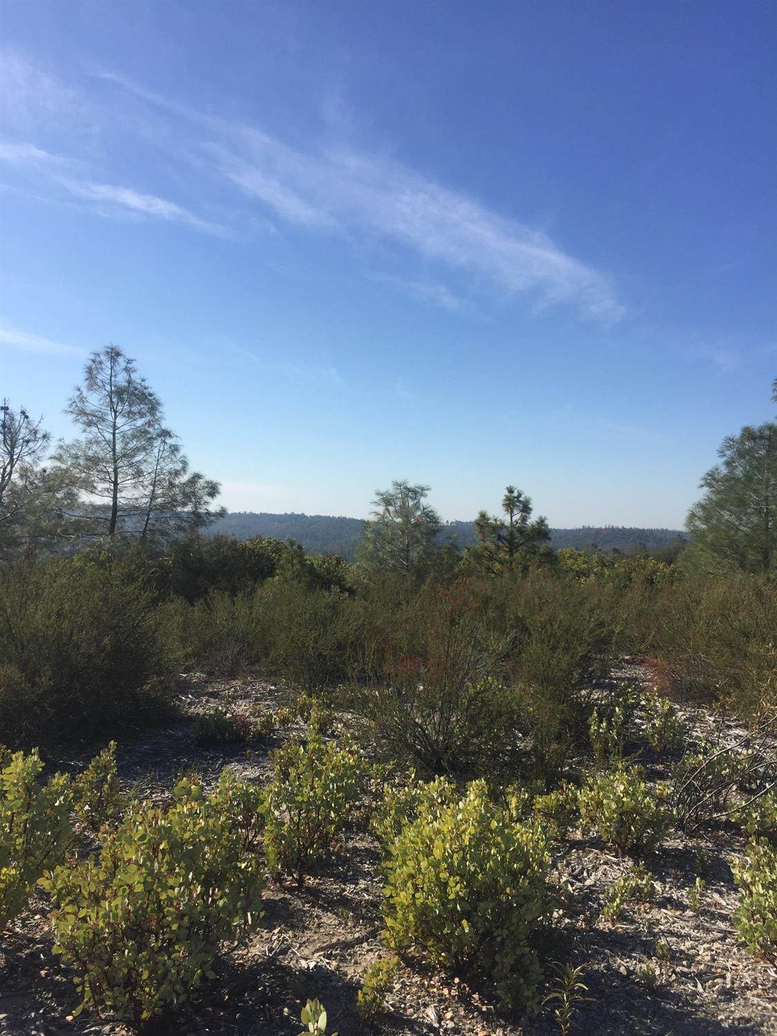 0 Ranch Camp Road - Photo 1