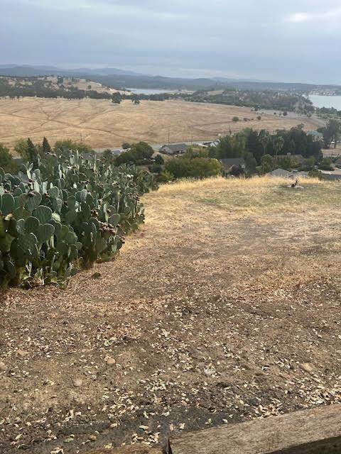 https://bt-photos.global.ssl.fastly.net/sacramento/orig_boomver_3_560940216-2.jpg