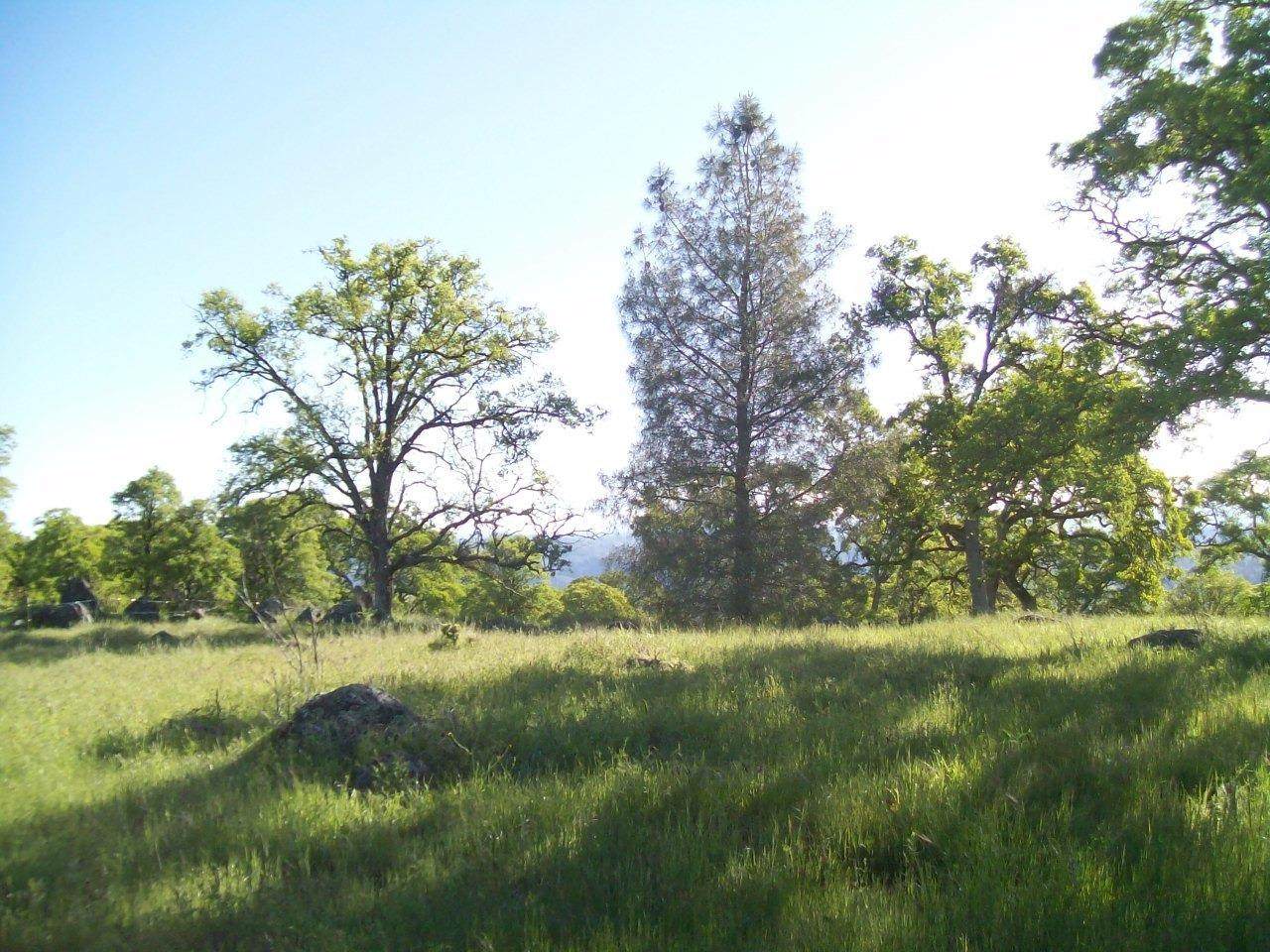 https://bt-photos.global.ssl.fastly.net/sacramento/orig_boomver_3_560943730-2.jpg