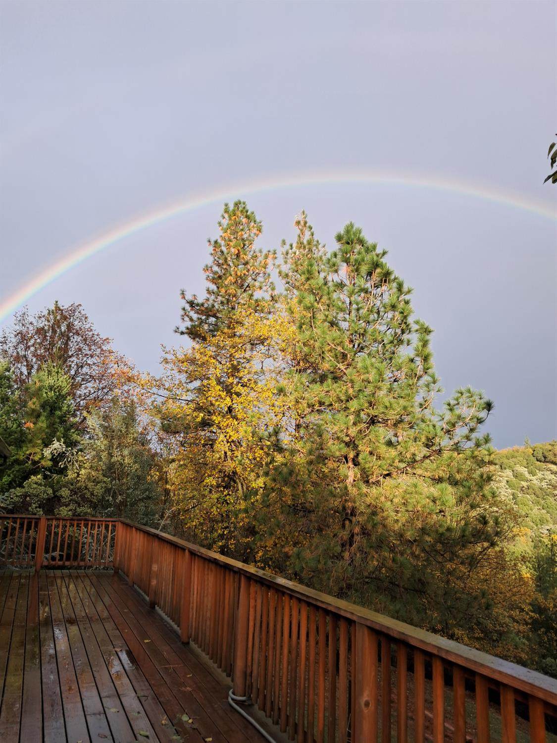 1400 Cedar Oak Road - Photo 1