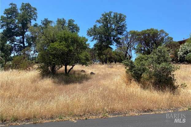 16717 Hawks Hill Road - Photo 1