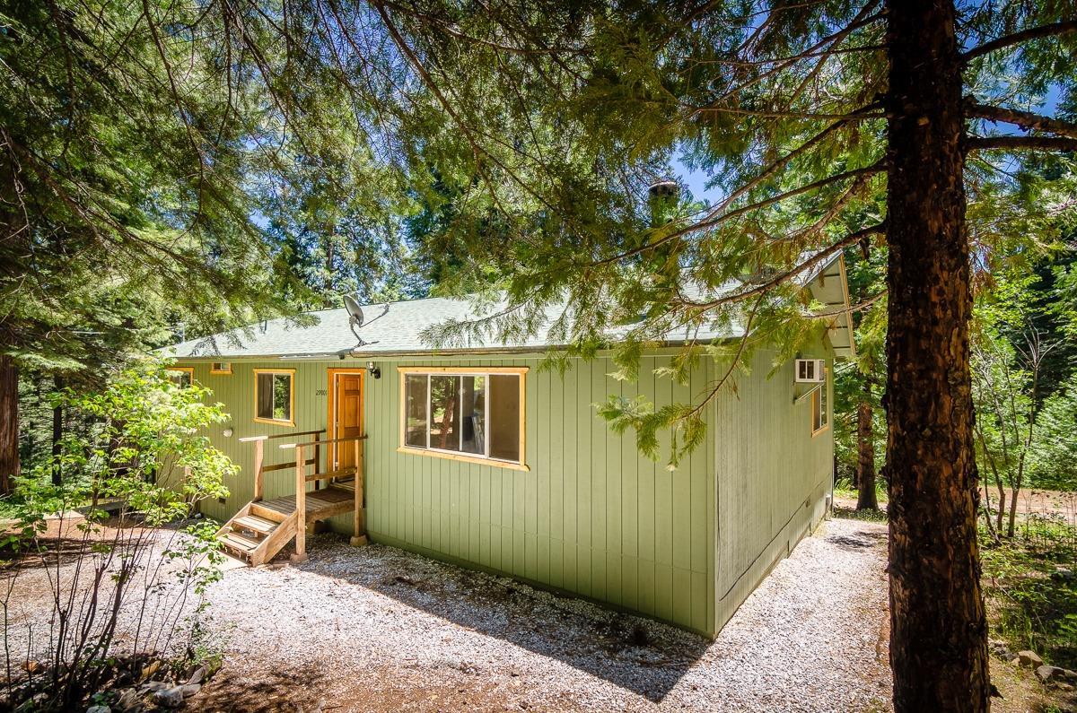 29001 Salt Springs Road - Photo 1
