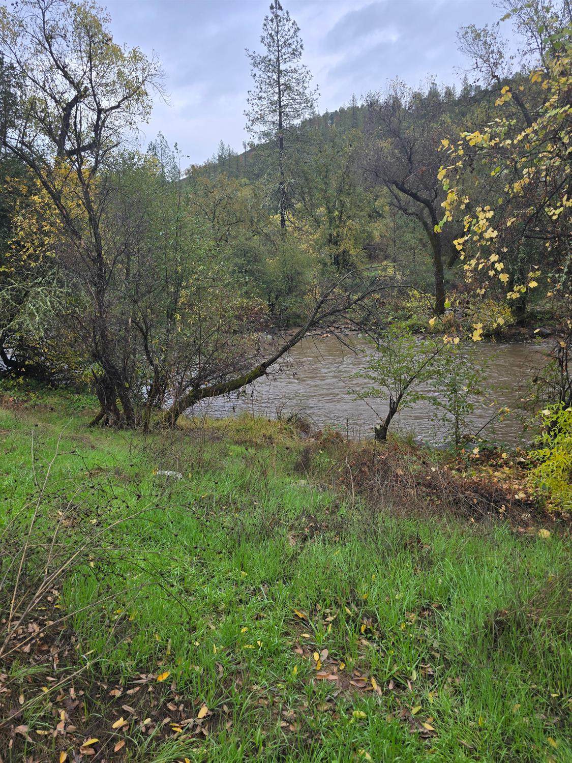 0 49 Highway - Photo 1