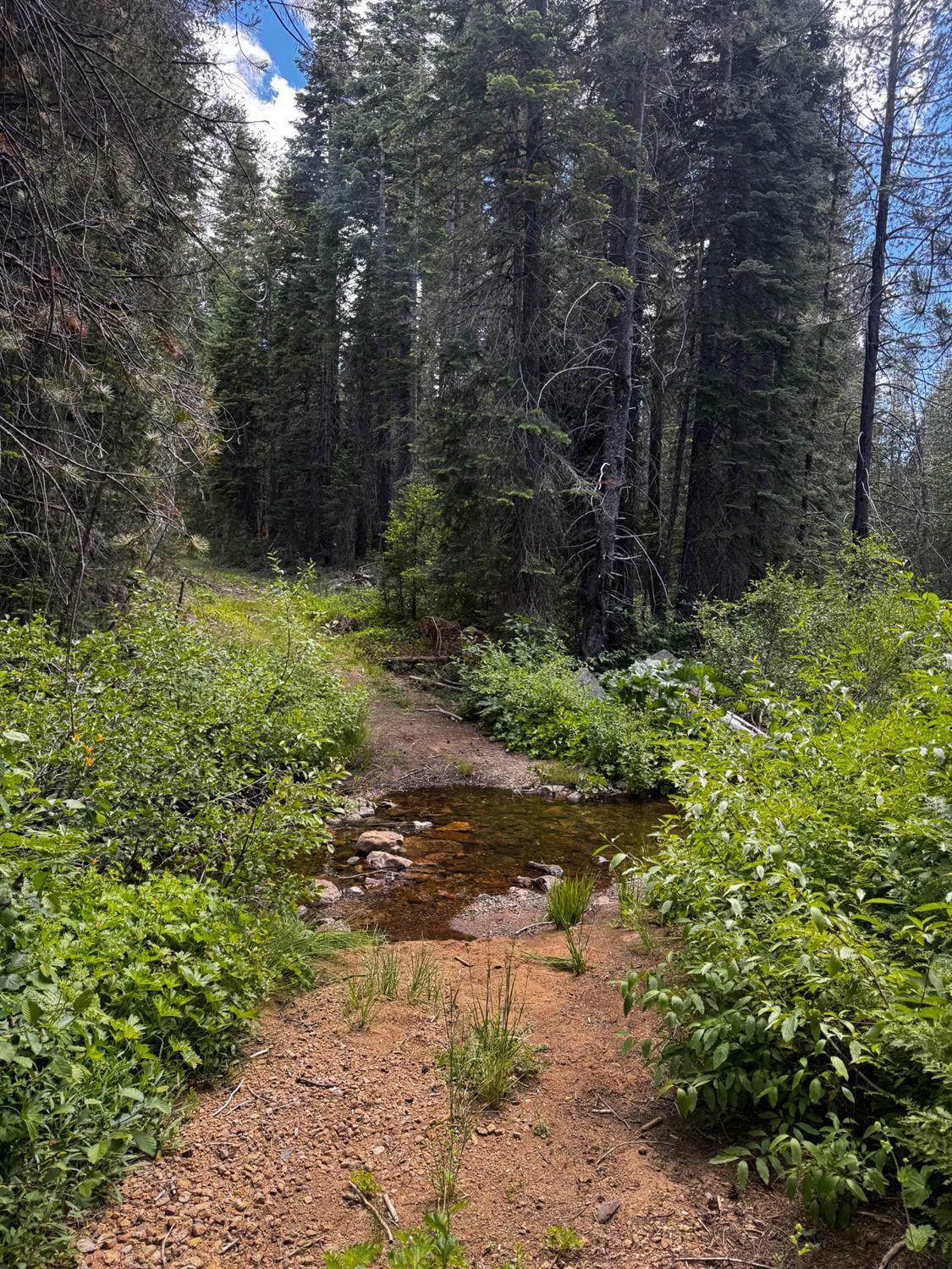 https://bt-photos.global.ssl.fastly.net/sacramento/1280_boomver_3_560975581-2.jpg