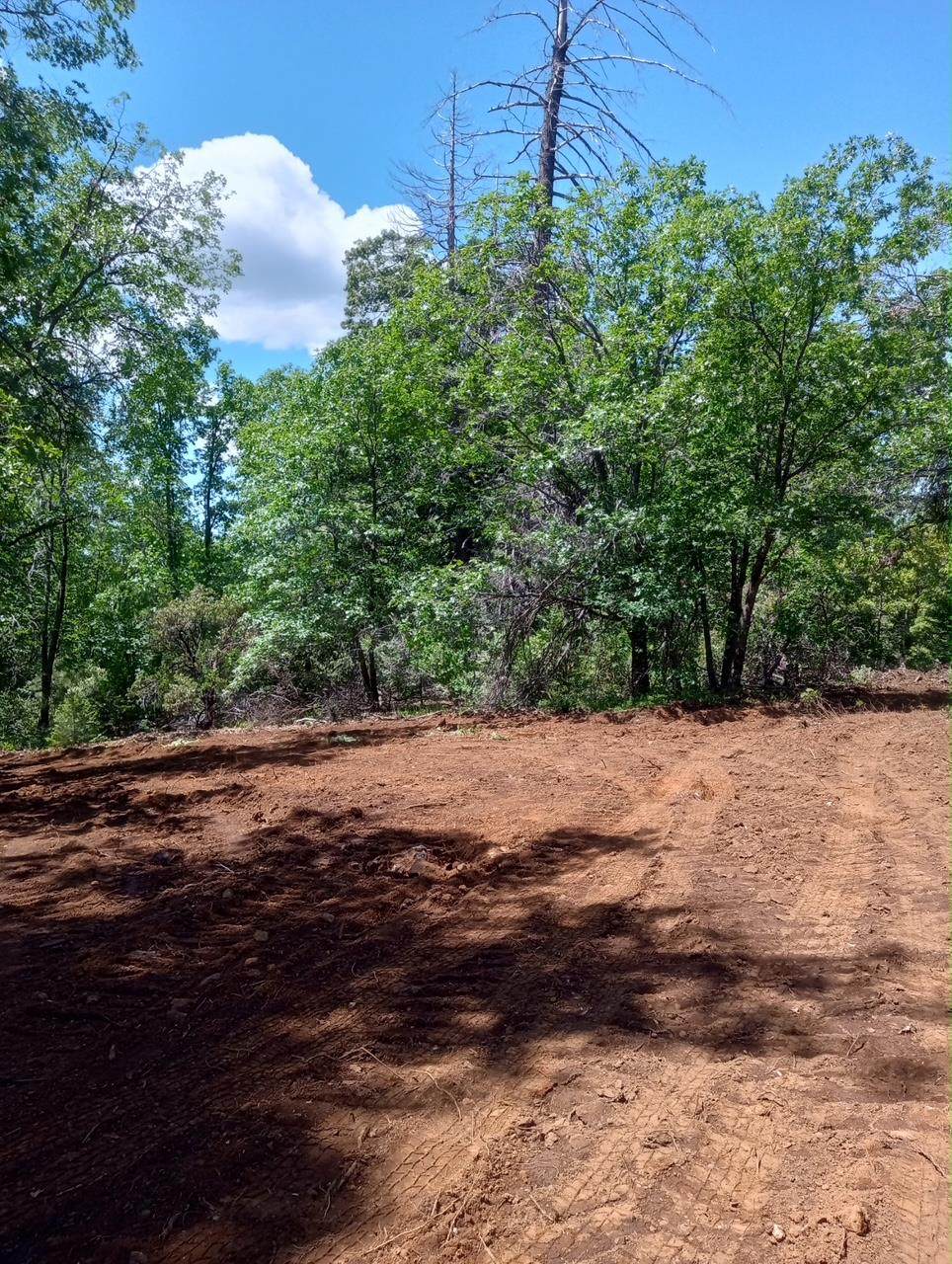 2710 Moody Ridge - Photo 1