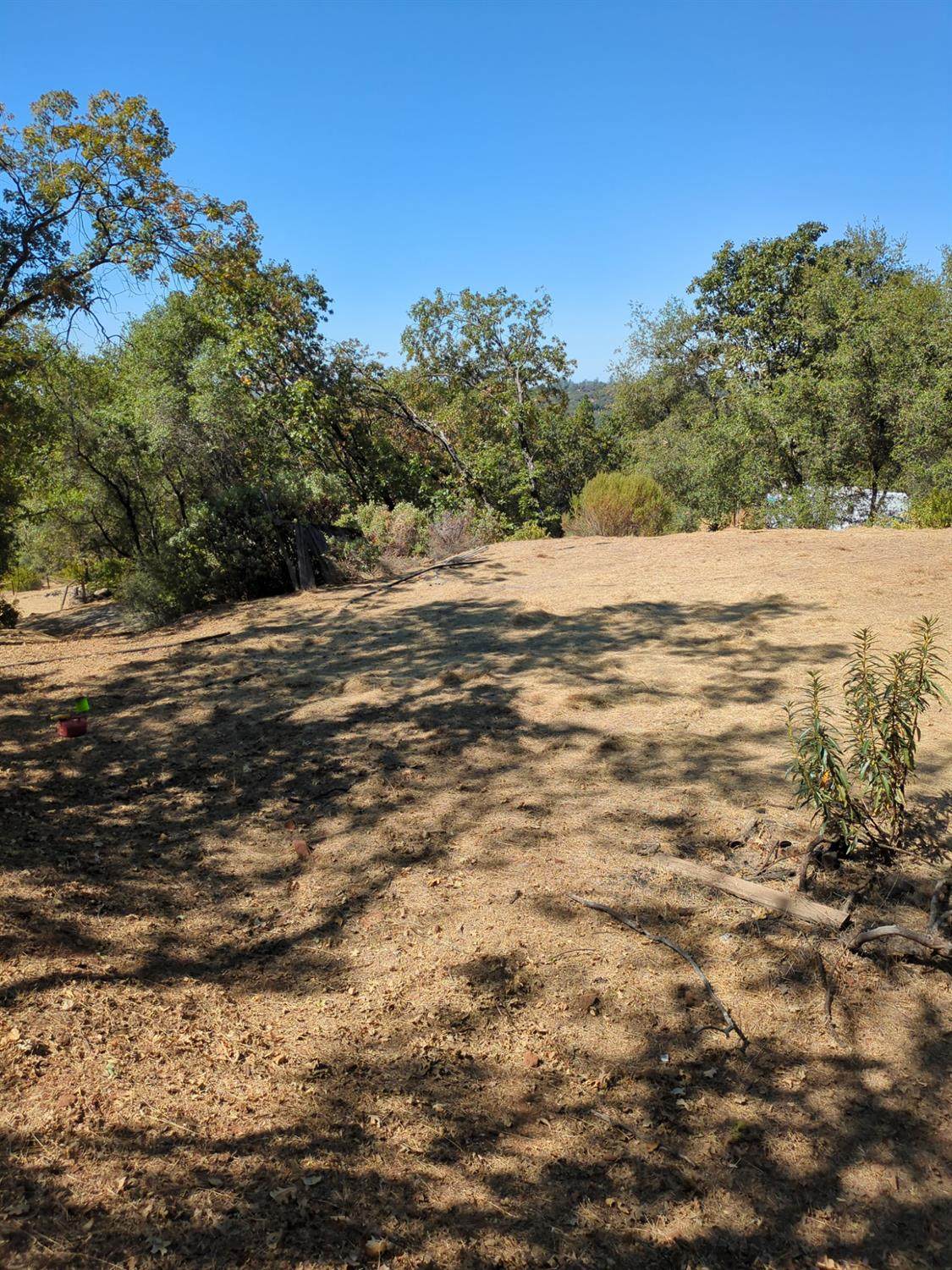 https://bt-photos.global.ssl.fastly.net/sacramento/orig_boomver_5_560906524-2.jpg