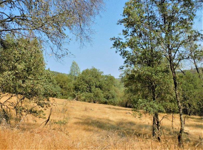 https://bt-photos.global.ssl.fastly.net/sacramento/orig_boomver_5_560860949-2.jpg