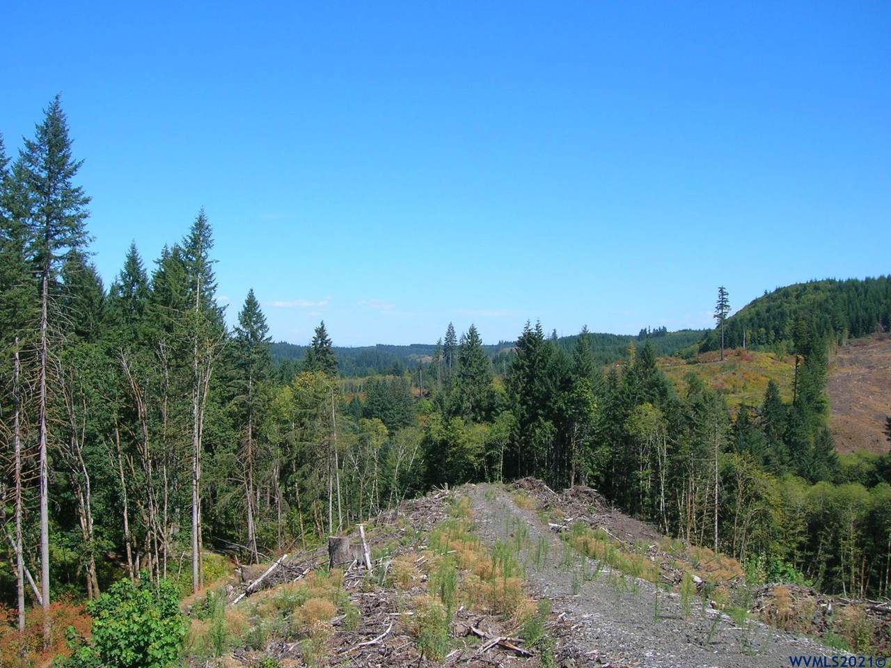 Chapman Grange (Lookout View) - Photo 1