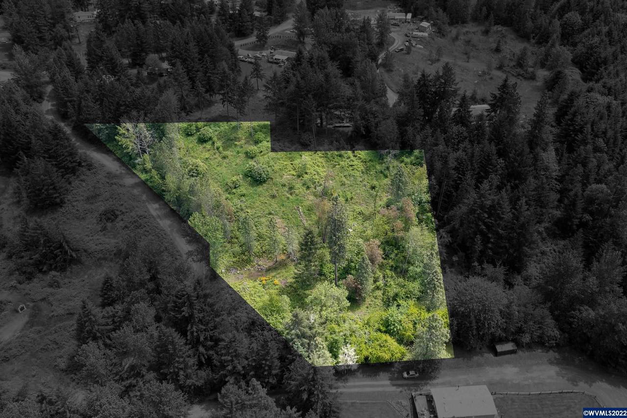 30518 Westview (Next To) - Photo 1