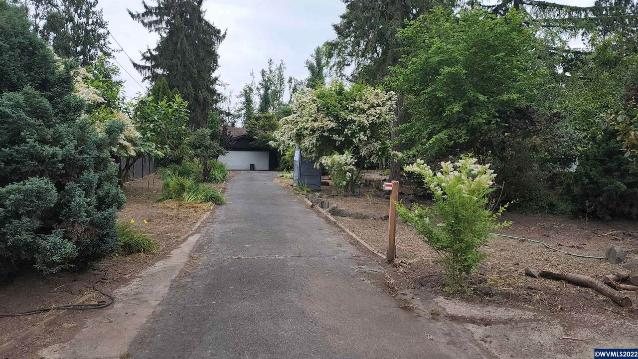 1445 Pine St - Photo 1