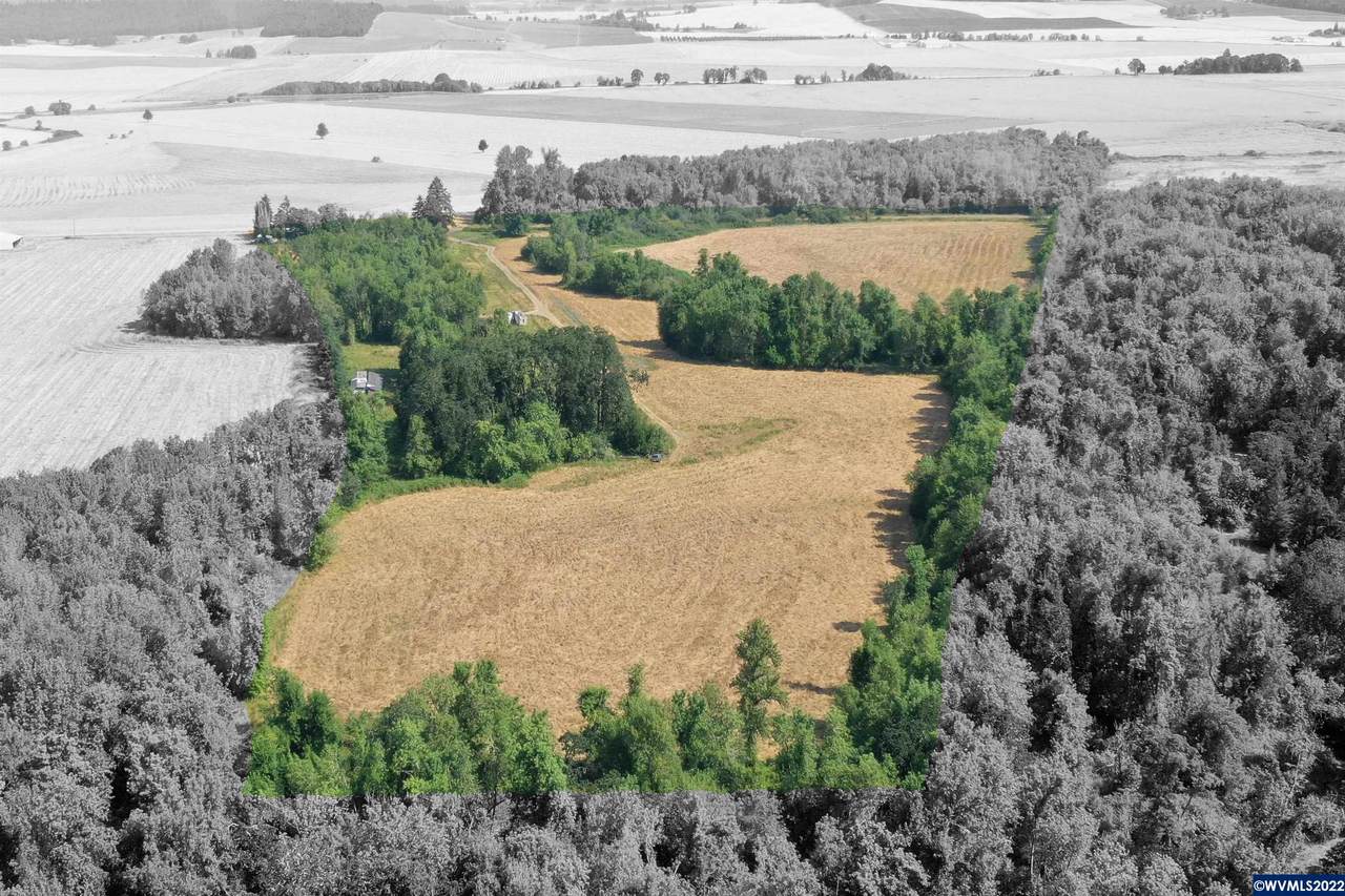 28432 Robinson (& 28462) Rd - Photo 1