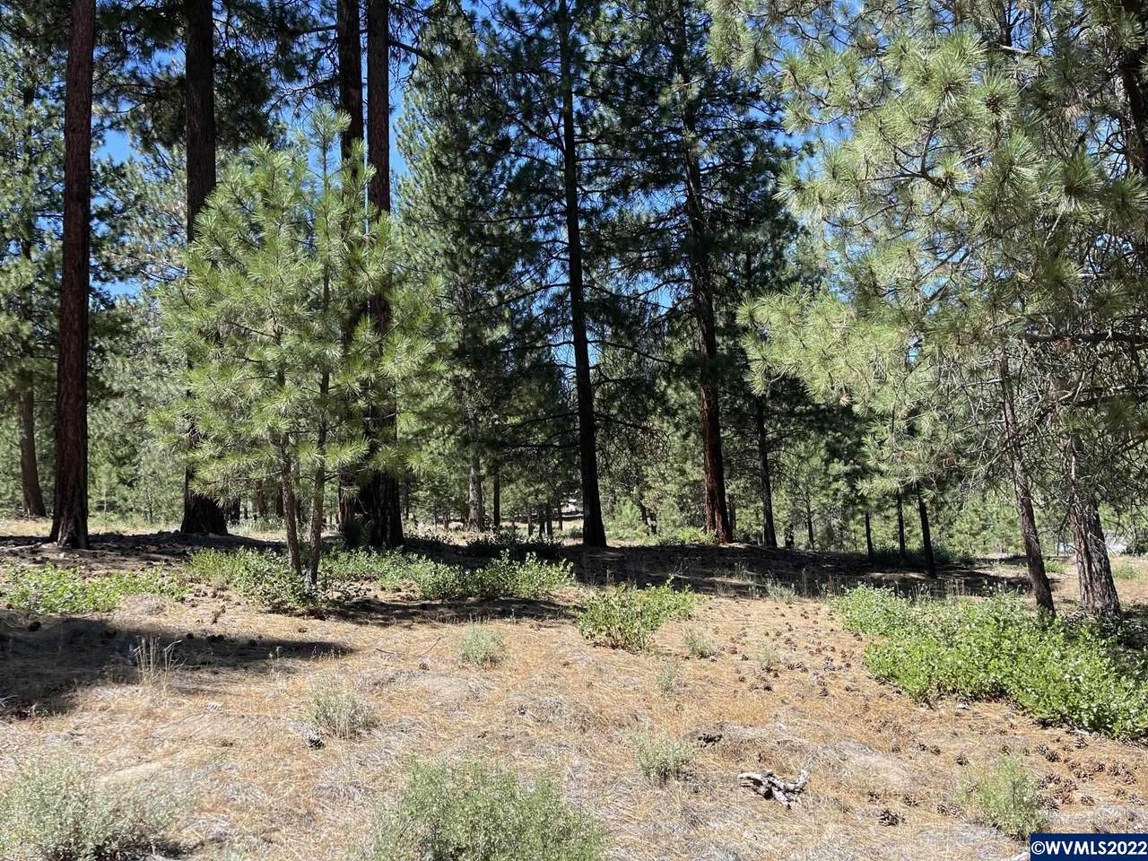 Incline (Lot #23) - Photo 1