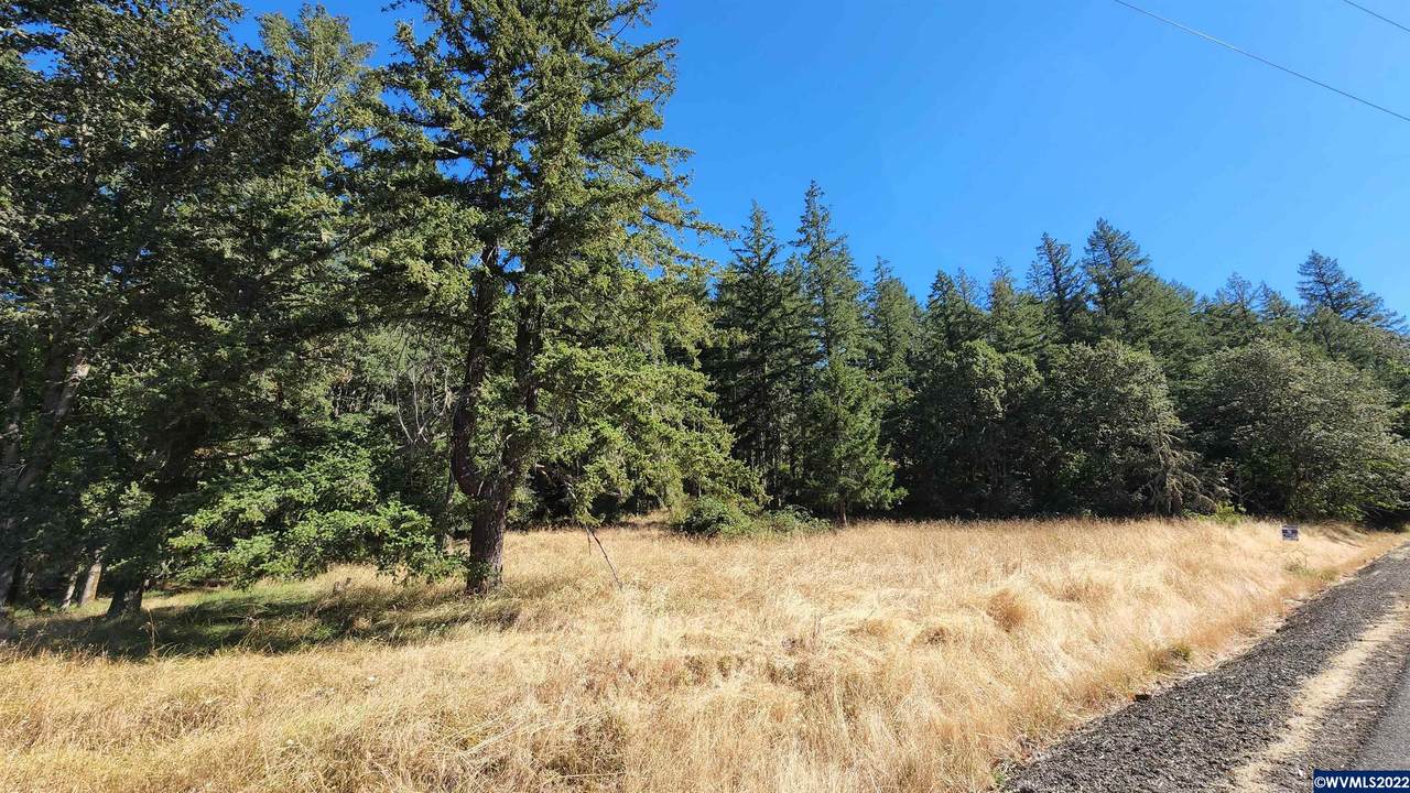 34933 Northerwood - Photo 1