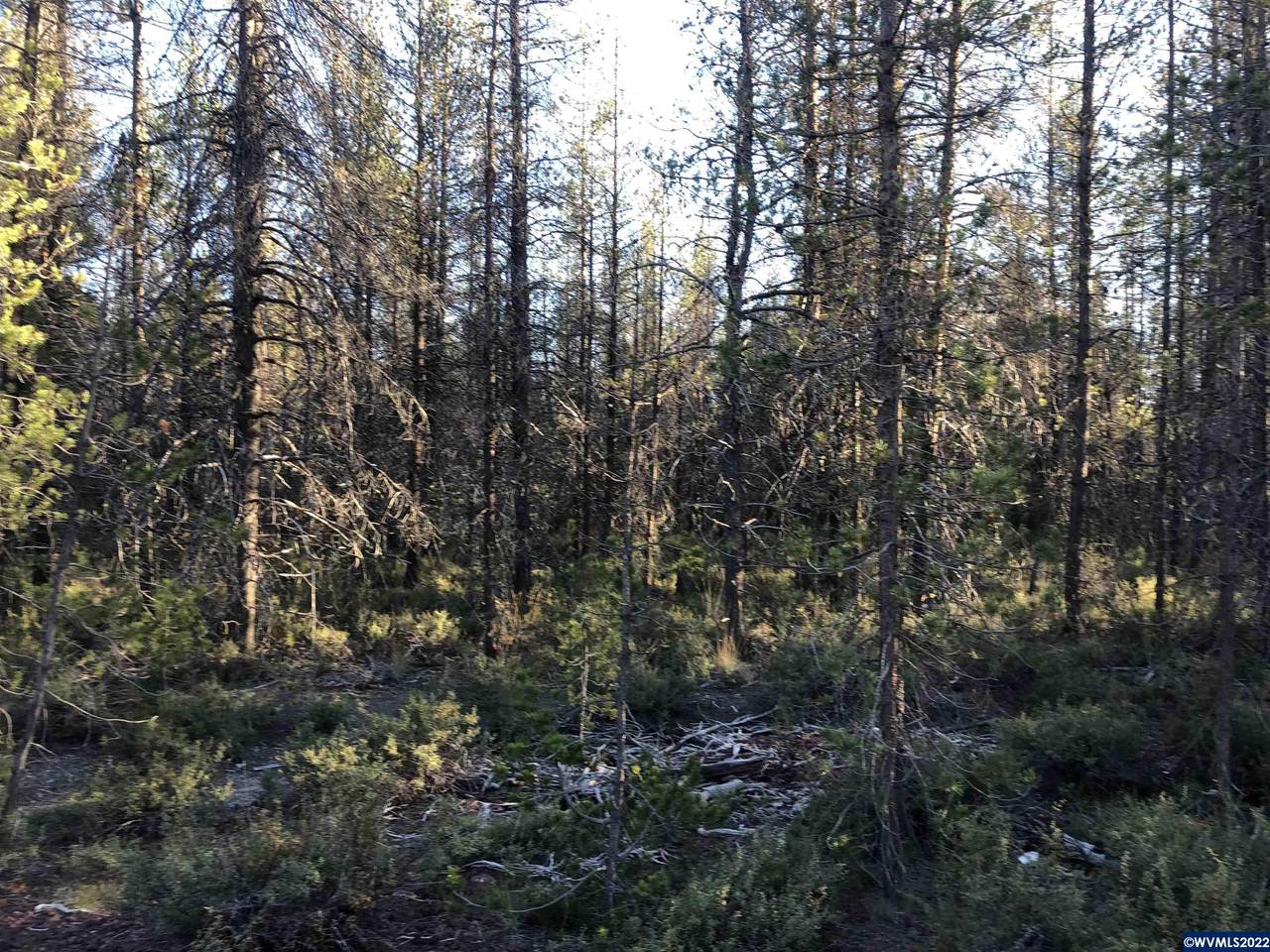 Lot 2 Munson - Photo 1