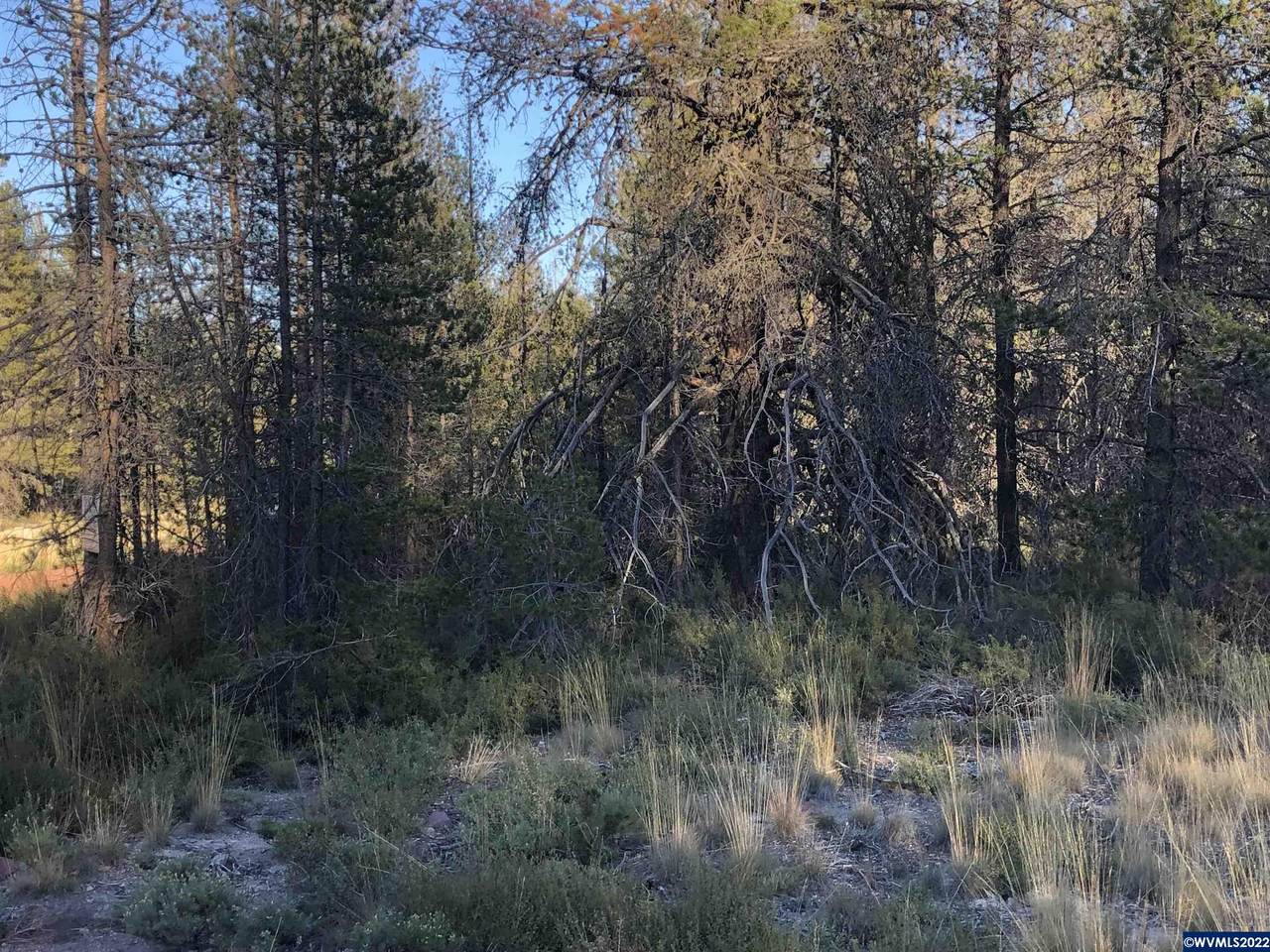 Lot 20 Vidae - Photo 1