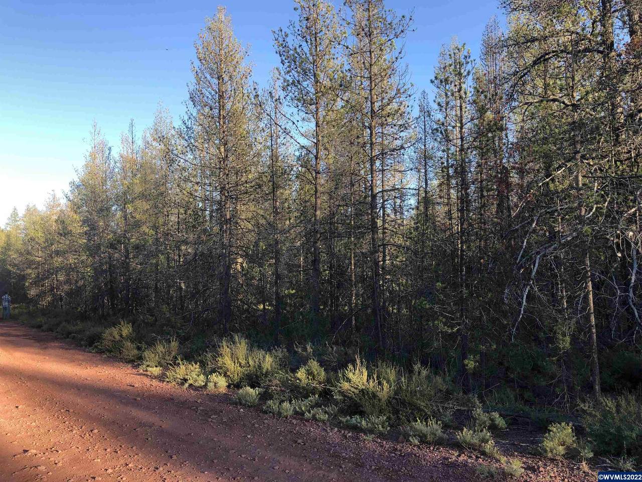 Lot 21 Priday - Photo 1