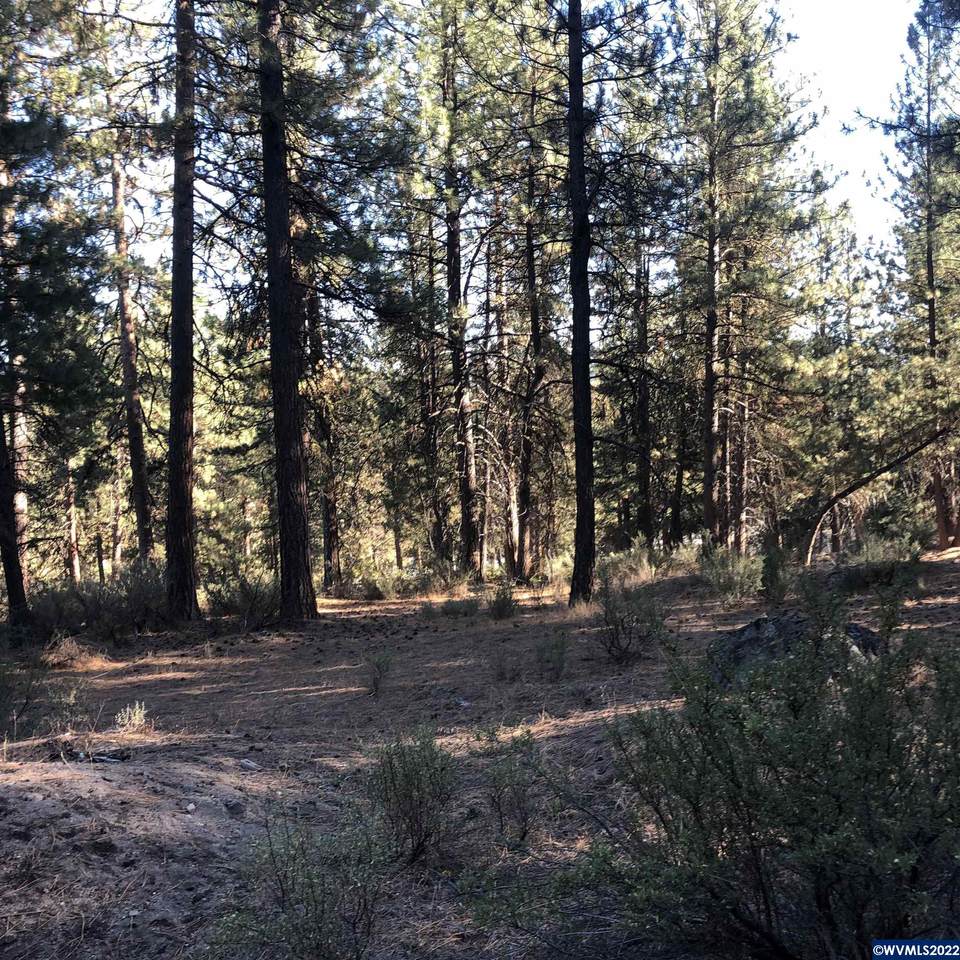 Lot 15 Stillwater - Photo 1