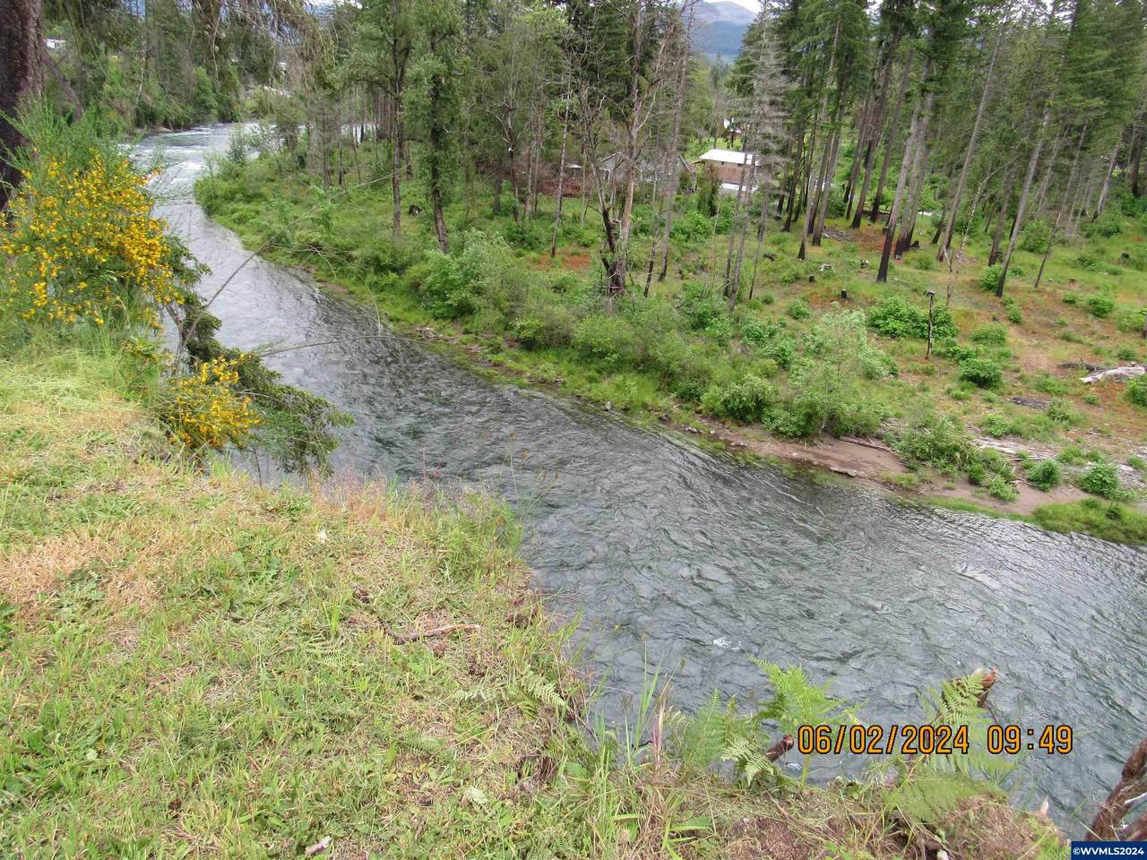 117 Dogwood - Photo 1