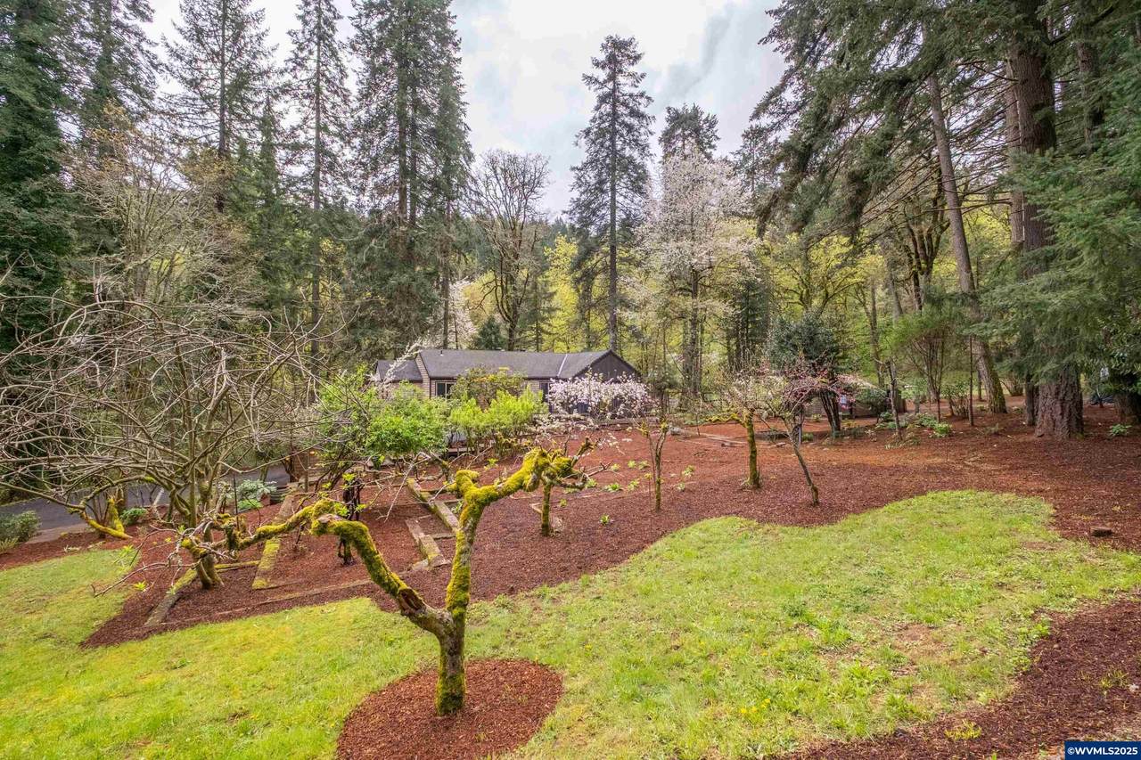 3960 Deepwood Ln - Photo 1