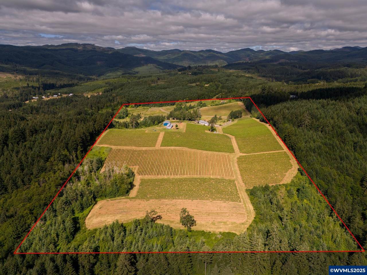 12000 Old Wagon Rd - Photo 1