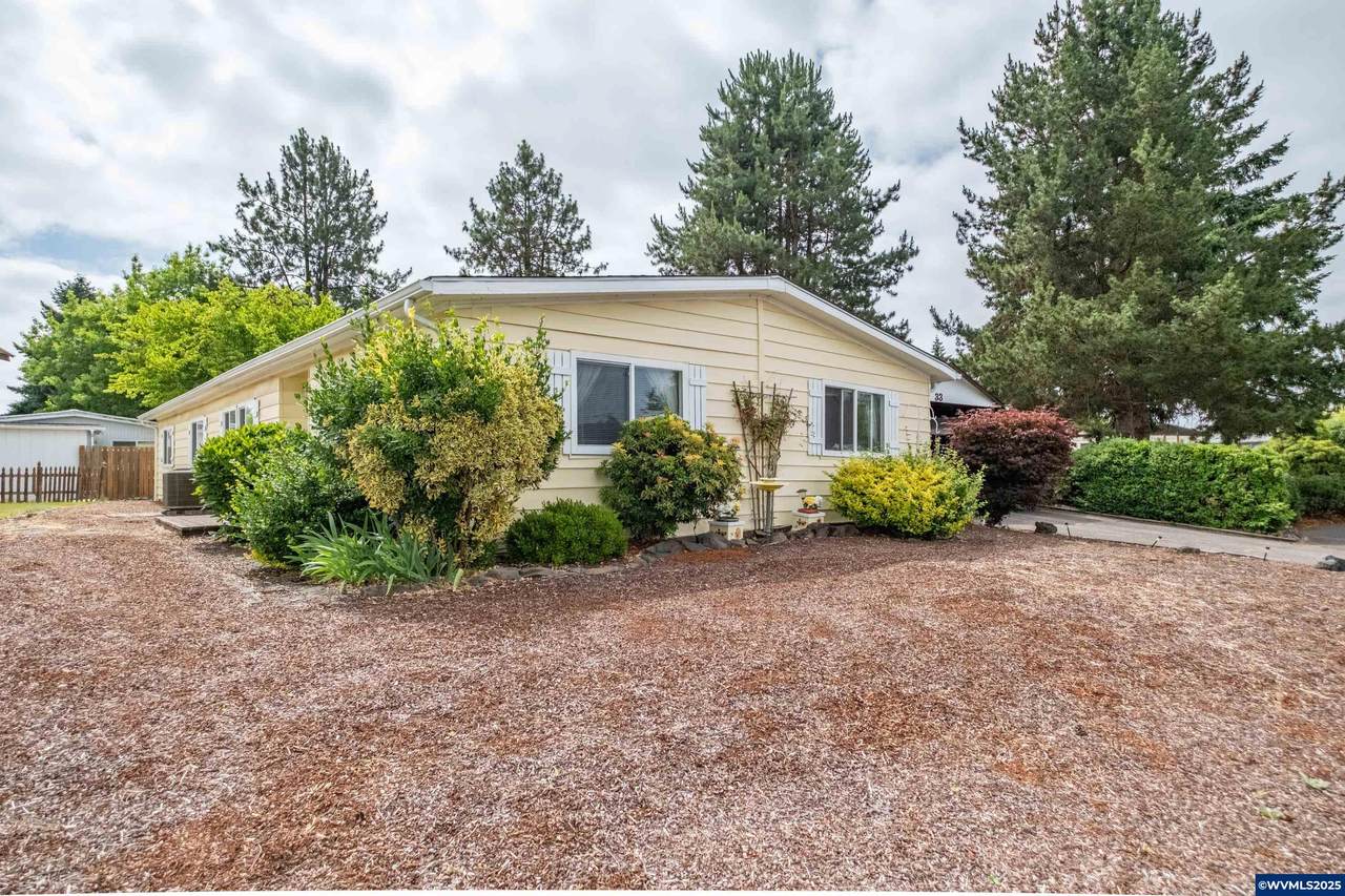 3800 Mountain View - Photo 1