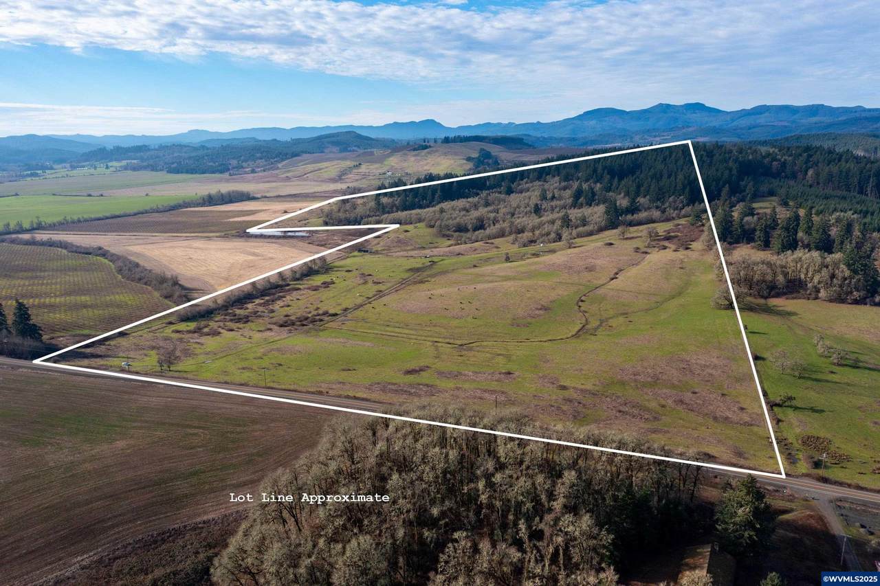  Next To Airlie - Photo 1