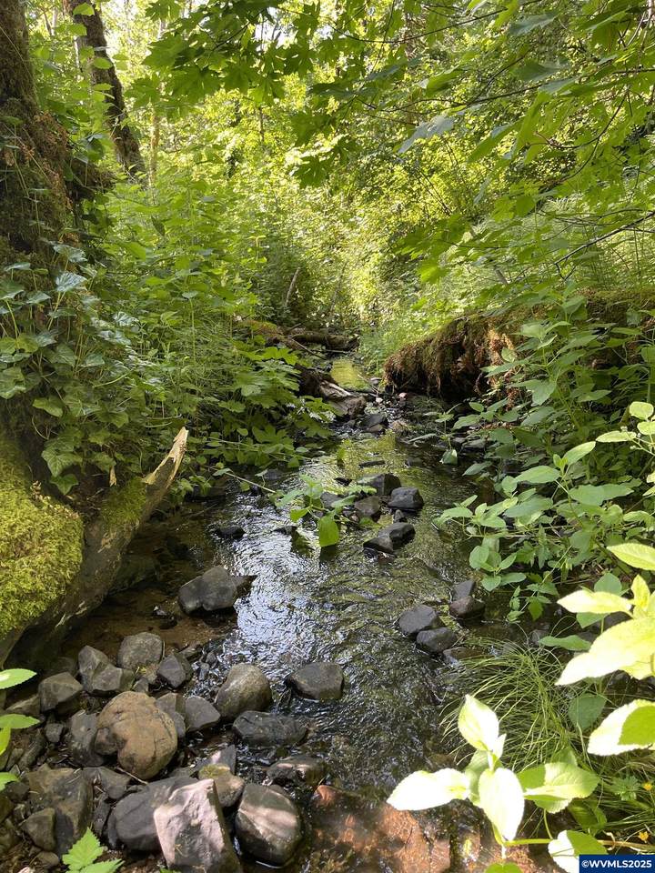 TA 213619 Rock Creek - Photo 1